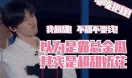 在线观看吉步泽明,在线观看，探索东方哲学之美