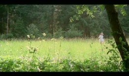 春的森林在线观看免费