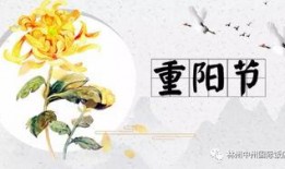 小说九月吃瓜后续免费阅读,揭秘娱乐圈背后的秘密