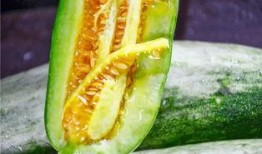 网红吃瓜免费观看,免费观看，揭秘娱乐圈幕后风云