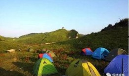 郴州露营爆料事件视频播放,揭秘户外露营新潮流