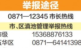 惠州新闻爆料热线奖励,助力市民参与城市建设