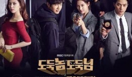 小偷大人在线观看,盗亦有道，揭秘神秘盗贼世界