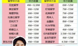 美国留学圈爆料事件视频,揭秘留学生活背后的真相