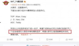 中单小学爆料最新消息,最新校园动态揭秘