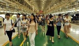 合肥工厂爆料事件视频,揭露背后的真相与争议