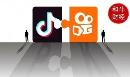 抖音大佬爆料视频大全,揭秘网红幕后故事