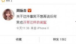 最新爆料官方消息,揭秘重大事件背后真相