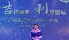 深圳盛先生最新爆料,揭秘行业内幕，带你走进真实深圳