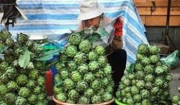 国内黑科吃瓜免费,免费获取瓜子的秘密通道