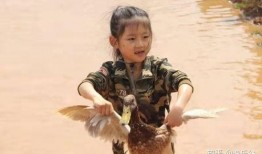 鸭王3在线观看完整版,巅峰对决，在线观看完整版，揭秘幕后真相