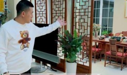 杨子侄女爆料视频,揭秘娱乐圈惊人内幕