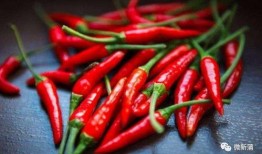 国内黑科吃瓜免费,免费获取瓜子的秘密通道