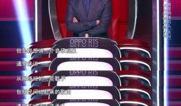 中国好声音爆料完整视频,精彩瞬间回顾，幕后故事大揭秘！