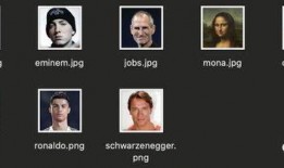 马斯克惊人爆料视频全集,揭秘科技巨头背后的真相与未来展望