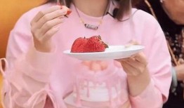 杨子侄女爆料视频,揭秘娱乐圈惊人内幕