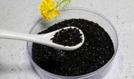 爆料黑芝麻丸怎么做的视频,传统养生美食的秘籍分享