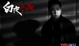白夜追凶32集在线观看,真相大白，正义终将到来！