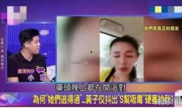 姓黄艺人爆料视频大全集,娱乐圈幕后真相全收录