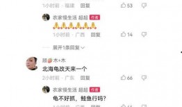 二八事件新爆料视频,真相再引热议