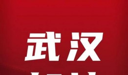 武汉加油最新爆料,抗疫英雄再创辉煌——最新爆料揭秘！