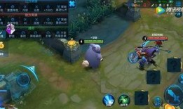 王者荣耀辅助爆料视频,辅助角色爆料视频深度解析