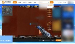 皇族最新爆料新闻直播回放