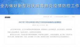 大连市新闻爆料,聚焦城市动态与民生焦点