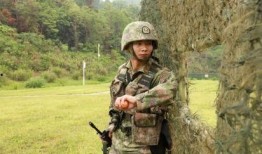 热点爆料兵哥哥视频,视频曝光震撼人心