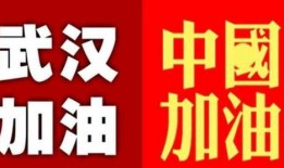 武汉加油最新爆料,抗疫英雄再创辉煌——最新爆料揭秘！