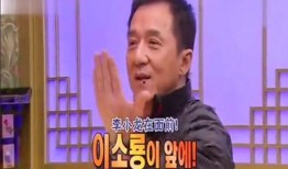 爆料成龙说谎视频大全集,真相与谎言的较量