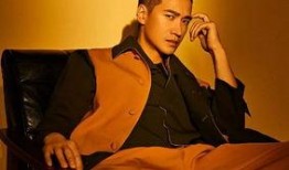 天涯爆料何晟铭视频在线观看,何晟铭私密视频在线观看事件揭秘