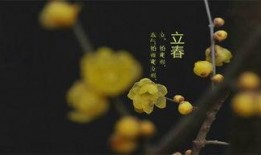 立春在线观看,春意盎然，温情满溢的年度佳作