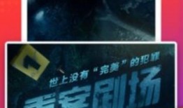 百兽瓶子爆料视频下载安装,揭秘下载安装全攻略