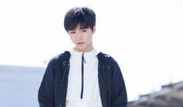 圈内爆料天涯,天涯风云再起，揭秘神秘事件背后真相