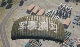绝地求生老王爆料视频大全,揭秘游戏幕后真相与精彩瞬间