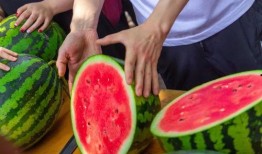 创业摆摊免费吃瓜,免费吃瓜摆摊，共享夏日清凉