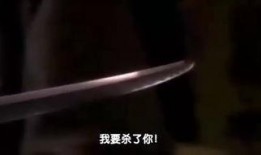 风斗士在线观看,在线观看，揭秘风暴中的英雄传奇