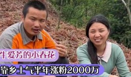 农村小叔爆料头条视频,头条视频背后的惊人真相！