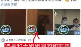 网红爆料向太是真的吗视频,向太真实身份揭秘，视频证据曝光引热议