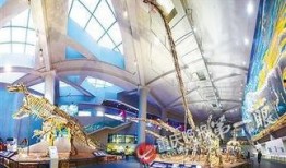 重庆自然博物馆爆料视频,探秘生物多样性宝库的珍贵瞬间