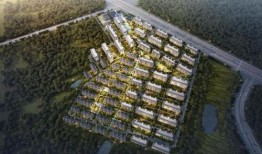 海云曦岸最新爆料,揭秘项目背后的惊人真相