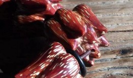 二虎爆料血莲花视频大全,血莲花视频大全背后的惊人真相