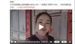 农村小叔爆料头条视频,头条视频背后的惊人真相！