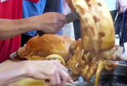 鱿鱼最新爆料视频在线观看,揭秘最新爆料视频，剧情反转引热议