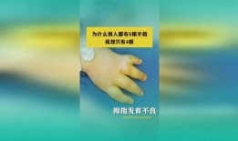 五根手指在线观看,五根手指的在线观看之旅