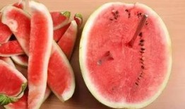 吃网红的瓜有风险,揭秘网络八卦背后的真相与陷阱