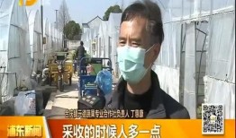 八村最新爆料新闻视频,揭秘背后惊人真相！