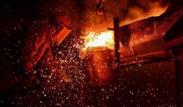 王者爆料樱花视频大全最新,最新视频大全精彩回顾