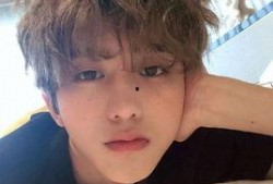 爆料娱乐圈刘耀文是谁啊,揭秘刘耀文是谁？